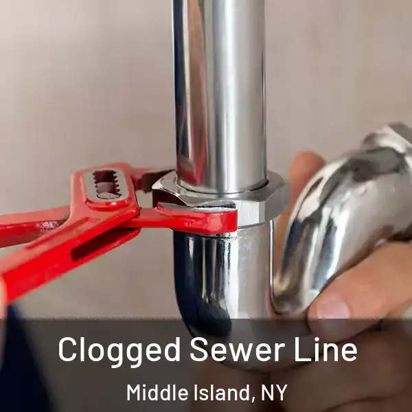  Clogged Sewer Line Middle Island, NY