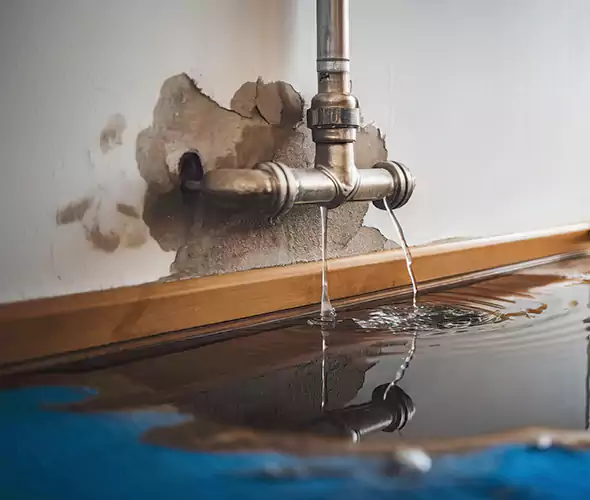 Professional Water Damage Restoration Experts in Middle Island, NY — Fast, Reliable & Certified