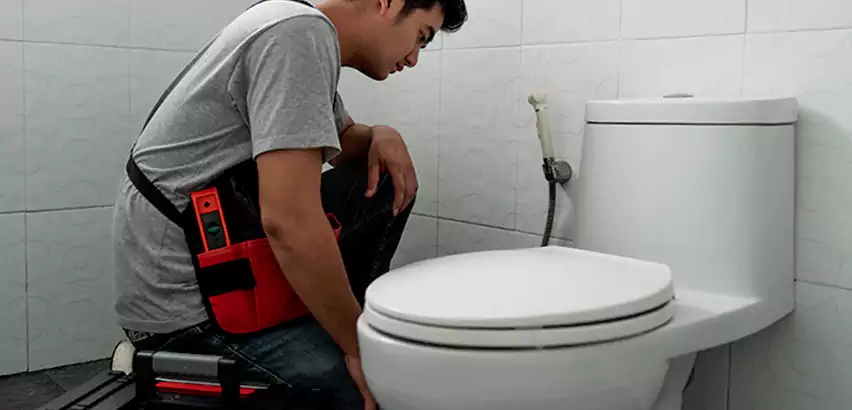 Toilet Repair in Middle Island