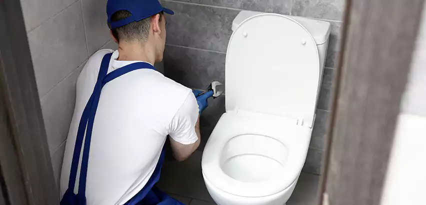 Toilet Lid Replacement in Middle Island