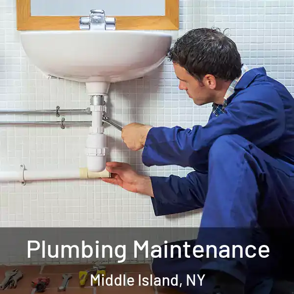  Plumbing Maintenance Middle Island, NY