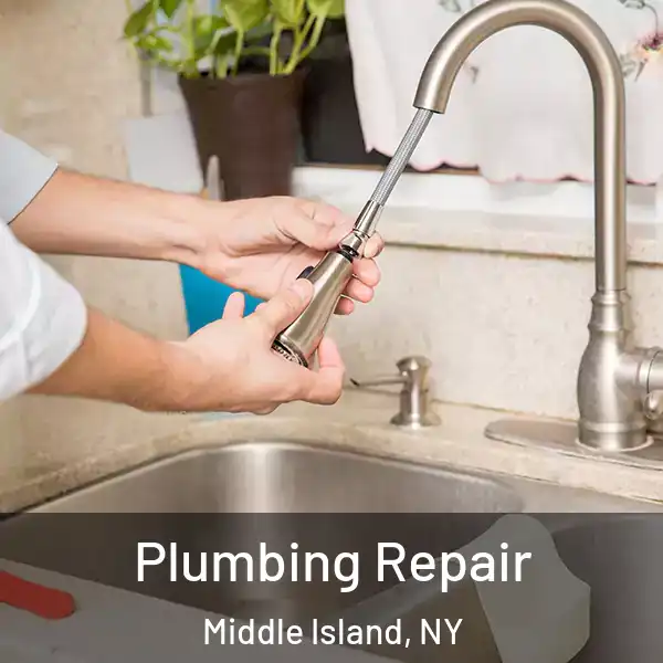  Plumbing Repair Middle Island, NY