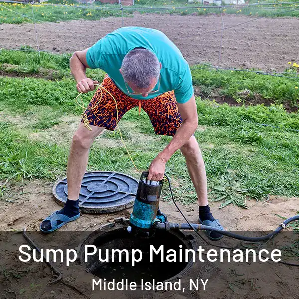  Sump Pump Maintenance Middle Island, NY