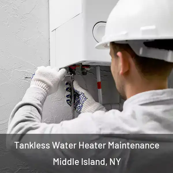  Tankless Water Heater Maintenance Middle Island, NY