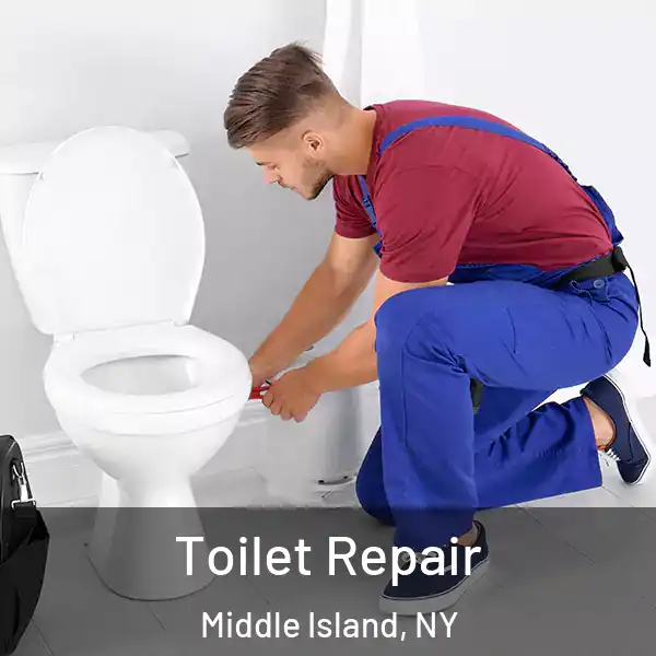  Toilet Repair Middle Island, NY