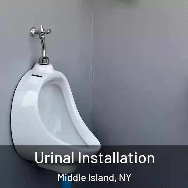  Urinal Installation Middle Island, NY