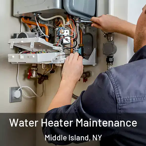  Water Heater Maintenance Middle Island, NY
