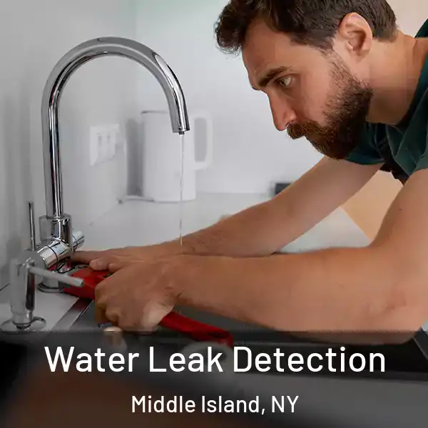  Water Leak Detection Middle Island, NY