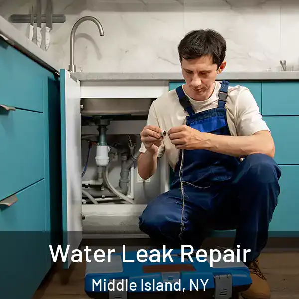  Water Leak Repair Middle Island, NY